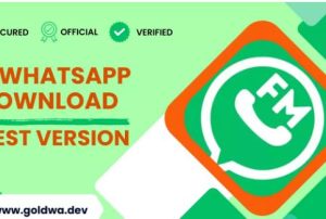 Elevate Your Messaging with FM WhatsApp: Download Guide